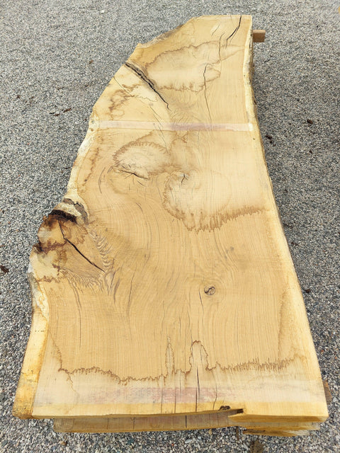Chêne Américain des Monts Ozark - SBCA 3 - Mon plateau de bois