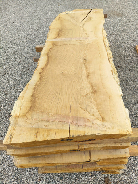 Chêne Américain des Monts Ozark - SBCA 6 - Mon plateau de bois