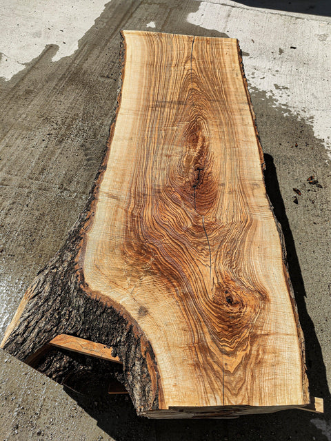 Frêne Noir du Canada FNC PSF 6 - Mon plateau de bois