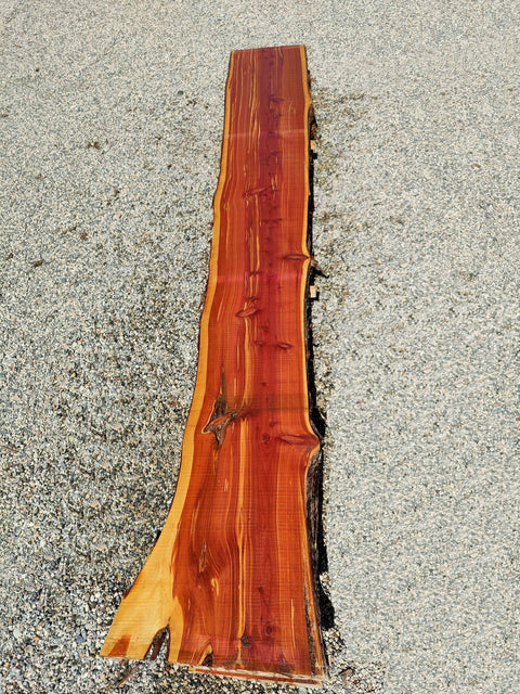 Genévrier de Virginie - GVB2 2 - Mon plateau de bois