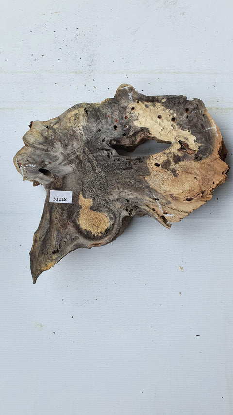 Loupe de Marronier / Buck Eye Burl 31118 - Mon plateau de bois