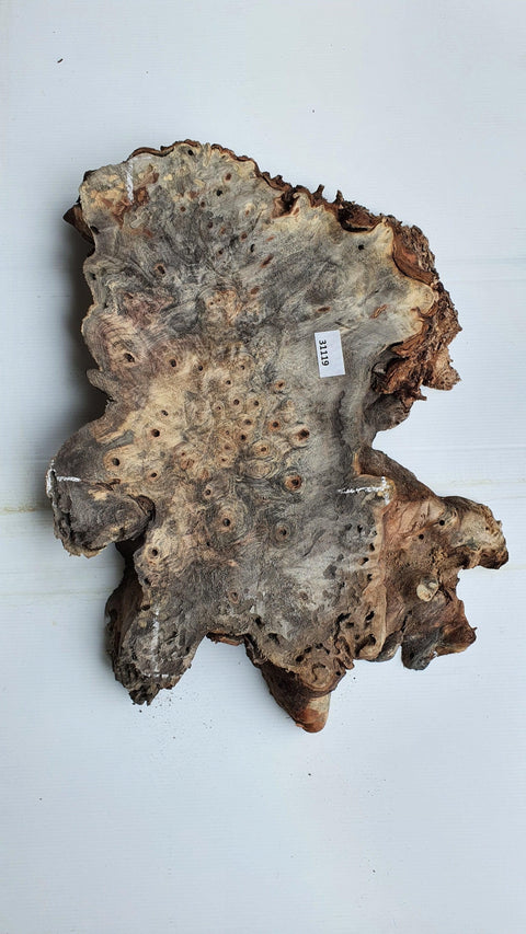 Loupe de Marronier / Buck Eye Burl 31119 - Mon plateau de bois