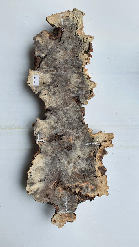 Loupe de Marronier / Buck Eye Burl 31126 - Mon plateau de bois