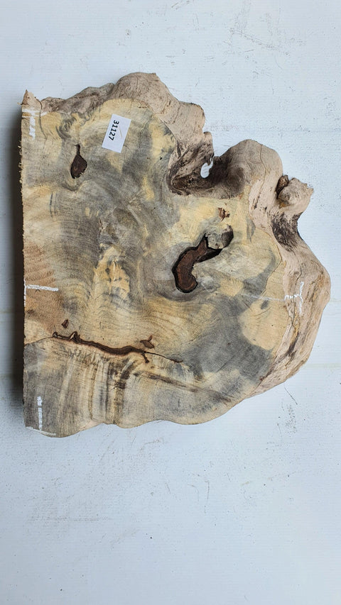 Loupe de Marronier / Buck Eye Burl 31127 - Mon plateau de bois