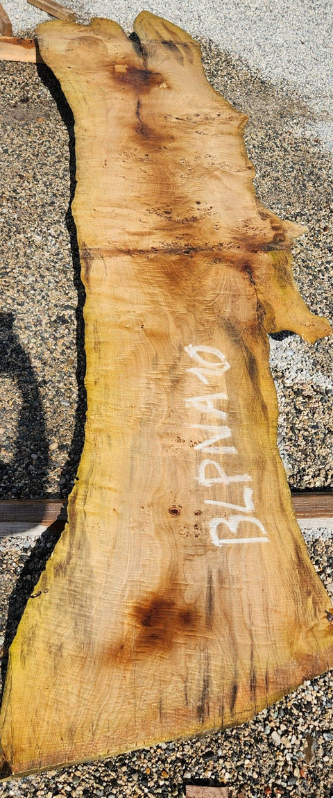 Loupe de Peuplier Noir - BLPNA 10 - Mon plateau de bois