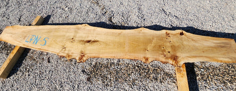 Loupe de Peuplier Noir - LPN 5 - Mon plateau de bois