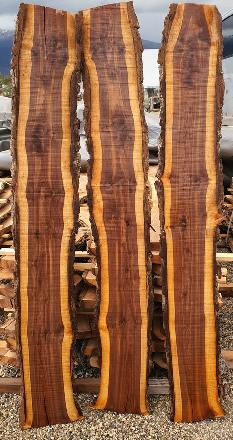 Noyer Américain Bastogne - Mon plateau de bois