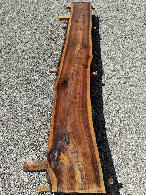 Orme - OC 5-2 - Mon plateau de bois