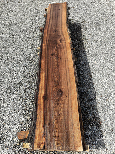 Orme - OC 6-4 - Mon plateau de bois