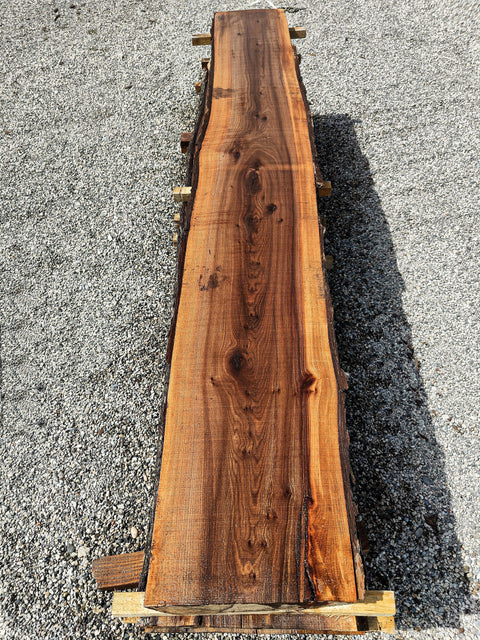 Orme - OC 6-5 - Mon plateau de bois