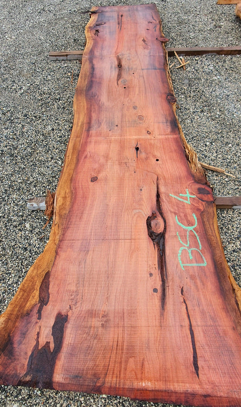 Séquoia de Californie - BSC 4 - Mon plateau de bois