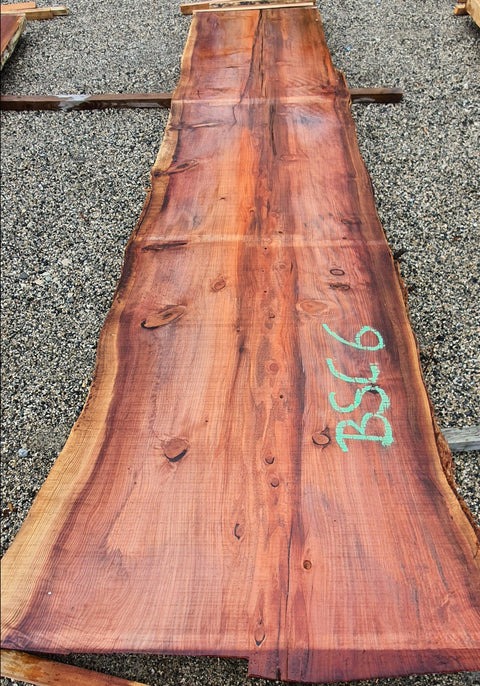 Séquoia de Californie - BSC 6 - Mon plateau de bois