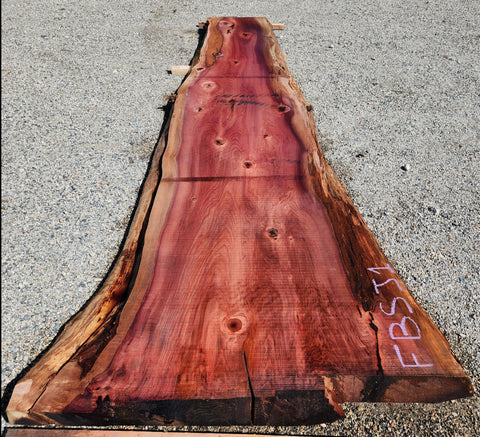 Séquoia de Californie - FBSJ 1 - Mon plateau de bois