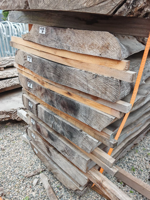 Plots de Noyer américain de Virginie