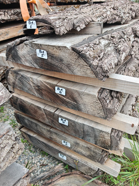 PLOT - B1 - Noyer américain Bastogne - 6 plateaux