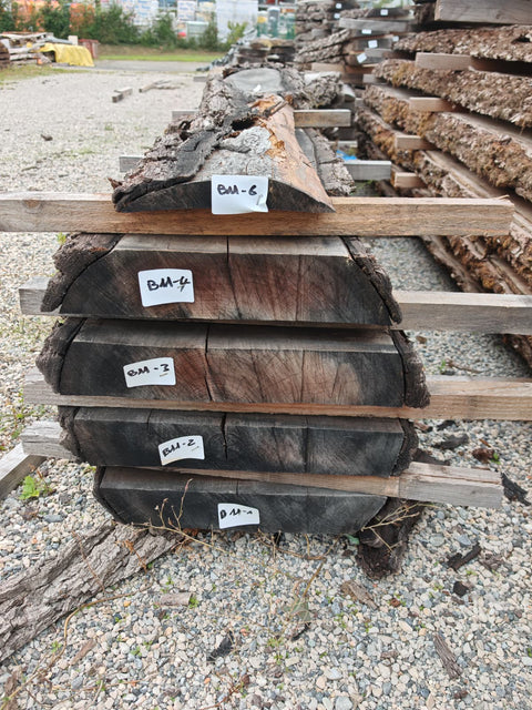 PLOT - B11 - Noyer américain Bastogne - 5 plateaux