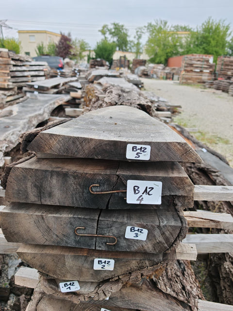 PLOT - B12 - Noyer américain Bastogne - 5 plateaux