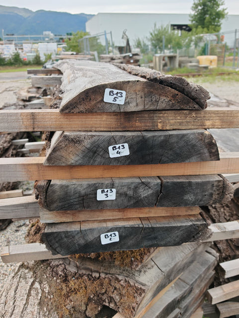 PLOT - B13 - Noyer américain Bastogne - 4 plateaux