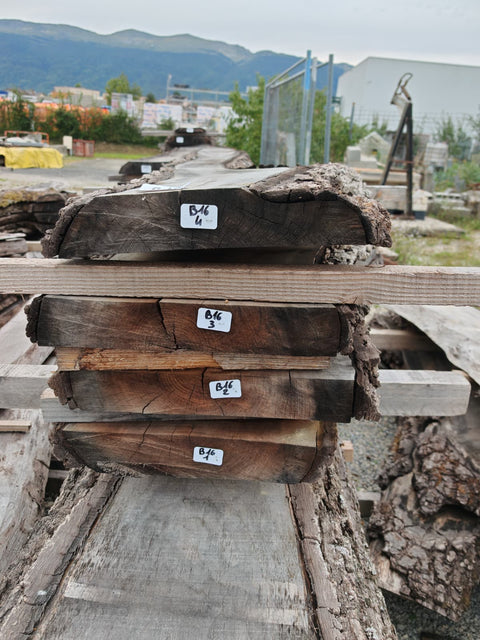 PLOT - B16 - Noyer américain Bastogne - 4 plateaux