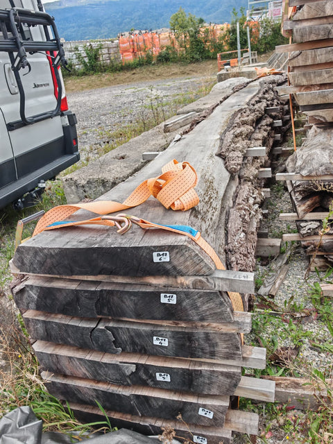 PLOT - B17 - Noyer américain Bastogne - 6 plateaux