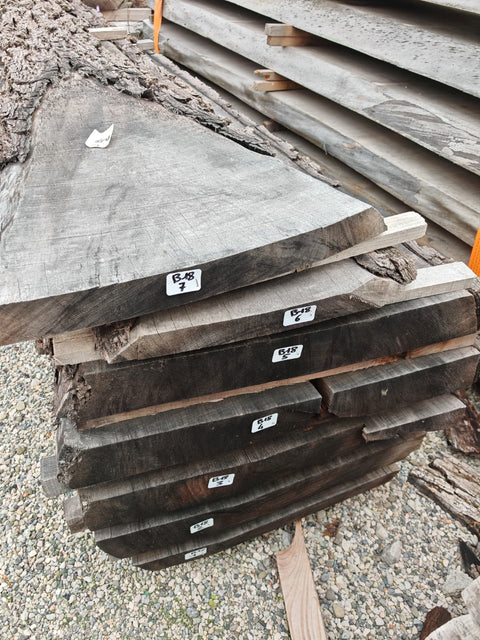 PLOT - B18 - Noyer américain Bastogne - 7 plateaux