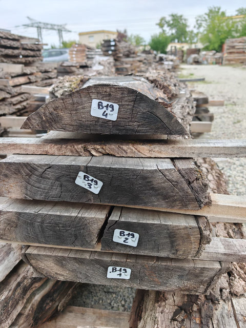 PLOT - B19 - Noyer américain Bastogne - 4 plateaux