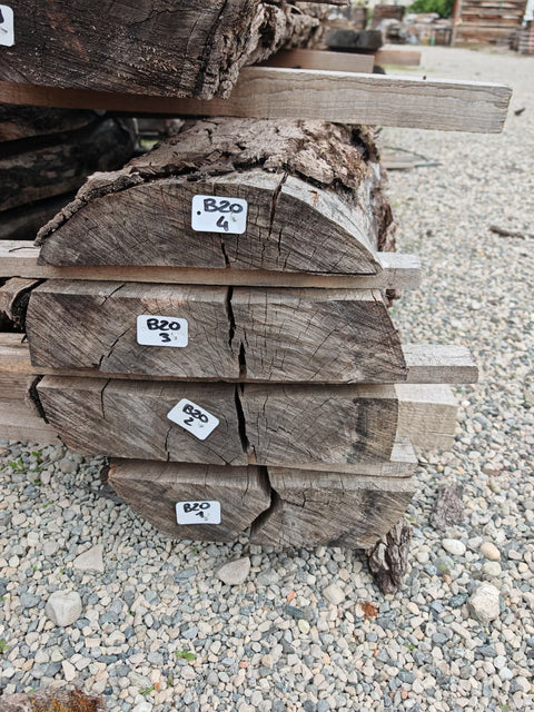 PLOT - B20 - Noyer américain Bastogne - 4 plateaux