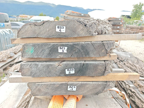 PLOT - B23 - Noyer américain Bastogne - 4 plateaux