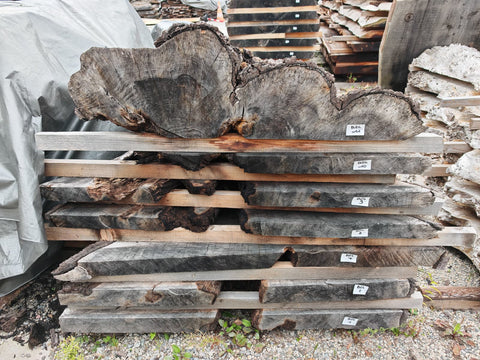 PLOT - B24 - Noyer américain Bastogne - 7 plateaux