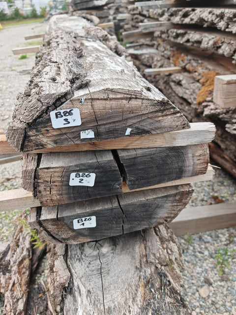 PLOT - B26 - Noyer américain Bastogne - 3 plateaux