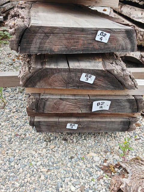 PLOT - B2 - Noyer américain Bastogne - 4 plateaux