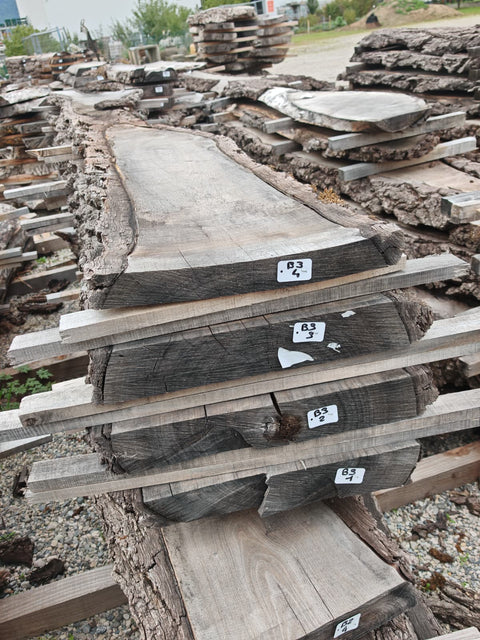 PLOT - B3 - Noyer américain Bastogne - 4 plateaux