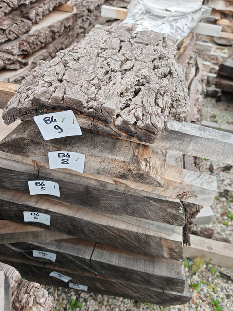 PLOT - B4 - Noyer américain Bastogne - 7 plateaux