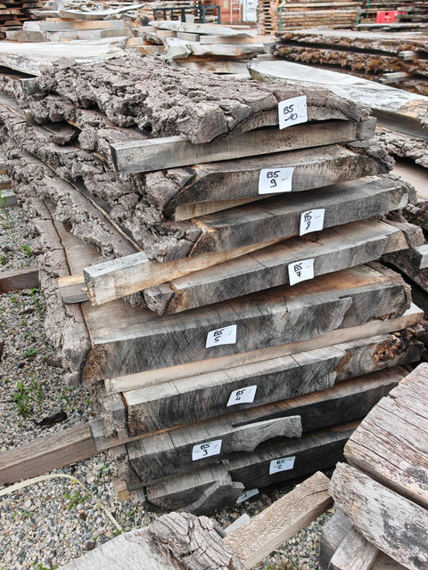 PLOT - B5 - Noyer américain Bastogne - 8 plateaux