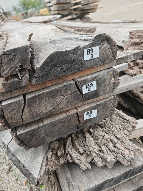 PLOT - B9 - Noyer américain Bastogne - 3 plateaux