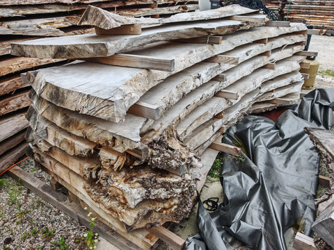 PLOT - BLPNA - Loupe de Peuplier Noir - 9 plateaux