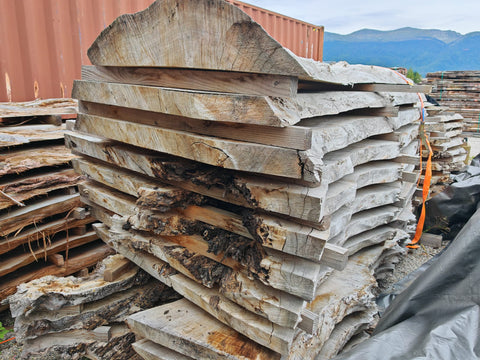 PLOT - BLPNB - Loupe de Peuplier Noir - 8 plateaux