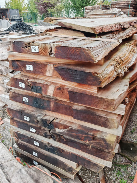 PLOT - BSC - Séquoia de Californie - 9 plateaux