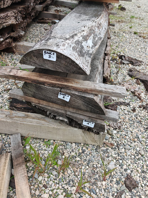 PLOT - BWC1 - Noyer noir américain - 3 plateaux