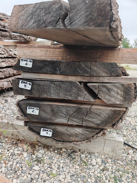 PLOT - BWC10 - Noyer noir américain -  4 plateaux