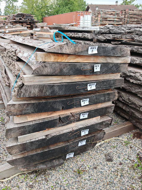 PLOT - BWC4 - Noyer noir américain - 8 plateaux