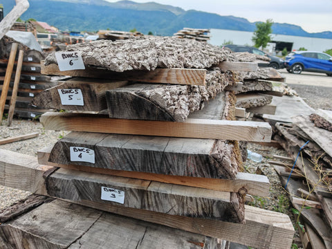 PLOT - BWC5 - Noyer noir américain - 4 plateaux