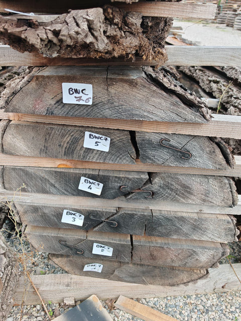 PLOT - BWC7 - Noyer noir américain -  6 plateaux