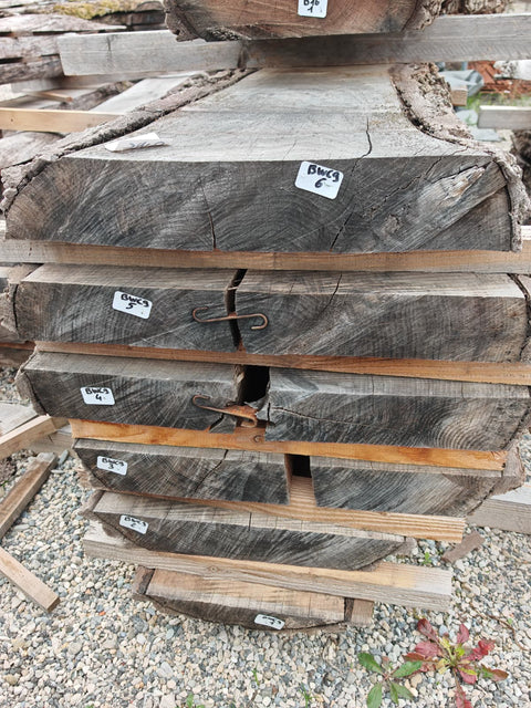 PLOT - BWC9 - Noyer noir américain -  6 plateaux