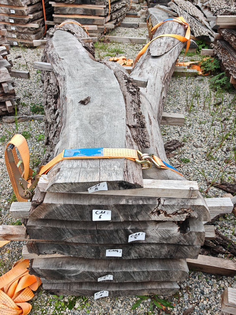 PLOT - C11 - Noyer américain Claro - 5 plateaux