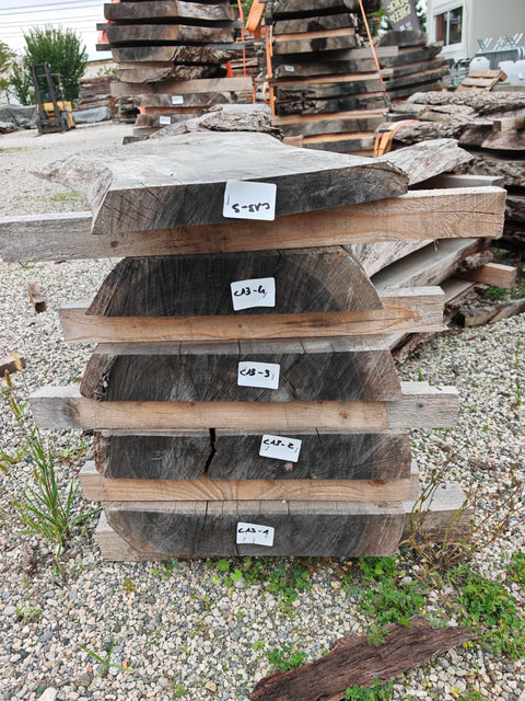 PLOT - C13 - Noyer américain Claro - 5 plateaux