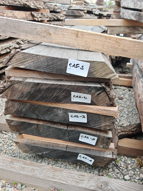 PLOT - C15 - Noyer américain Claro - 5 plateaux