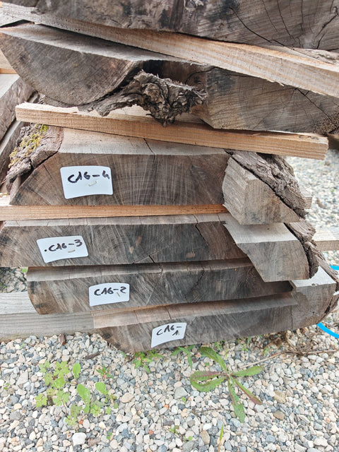 PLOT - C16 - Noyer américain Claro - 4 plateaux