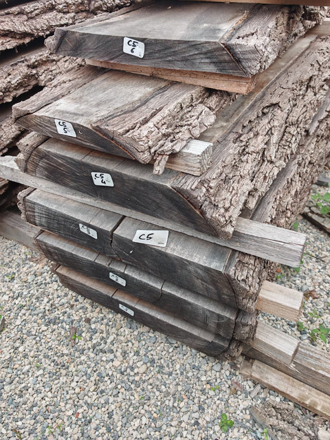 PLOT - C5 - Noyer américain Claro - 6 plateaux