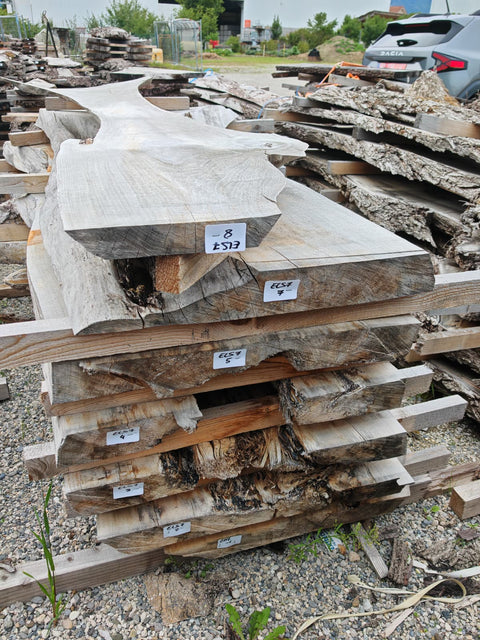 PLOT - ELS7 - Loupe d'orme de Sibérie - 7 plateaux